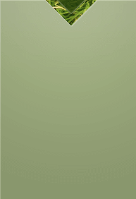 sidebar_bg